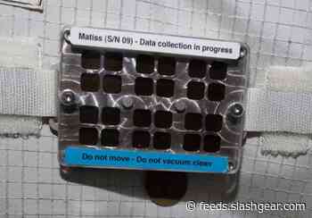 Astronauts leave one place on the ISS filthy as an experiment