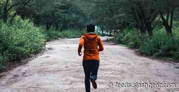 You can’t be fat and healthy at the same time, study warns