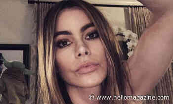 Sofia Vergara bakes cookies in underwear and heels - HELLO!