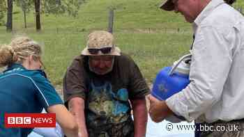 Australia man missing for 18 days 'survived on mushrooms'