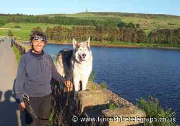 LOCKDOWN HERO: Litter champ and his dog use daily exercise to keep streets clean