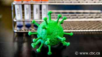 1 year after Canada's first coronavirus case, the COVID-19 pandemic rages on