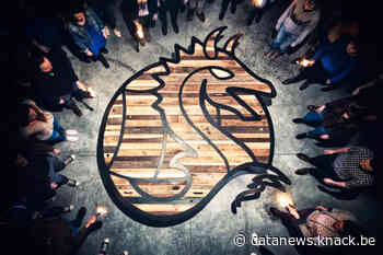 Proximus-CEO wil Mobile Vikings laten scoren in Wallonië