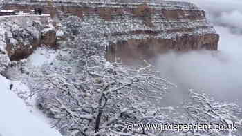 Snow and mist settles in Grand Canyon in stunning footage