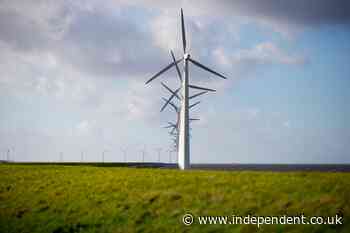 Virtual summit seeks to galvanize climate change adaptation
