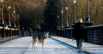 More snow on the way as Met Office issues yellow weather warning