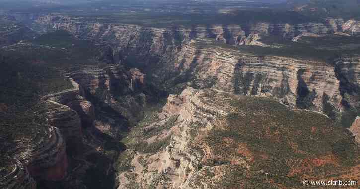 Letter: Utah legislators don’t really believe in local control
