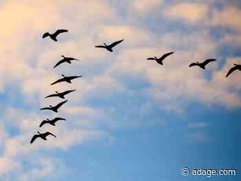 Google thinks it may have found a replacement for third-party cookies