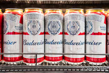 Why Budweiser and their signature Clydesdales are skipping the Super Bowl for first time in 37 years