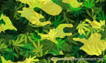 GOP Congressman Files Bill To Protect Veterans Who Use Medical Marijuana From Losing Benefits - Marijuana Moment
