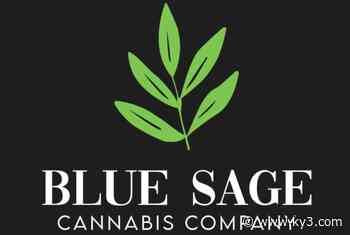 Blue Sage Cannabis Company opens medical marijuana dispensary in Lebanon, Mo. - KYTV