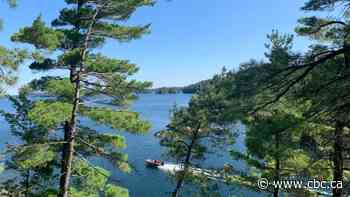 'This was the way to do it'— towns, First Nations, logging companies join up to manage Temagami forest