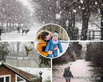 Our favourite snow pictures across south London and Surrey