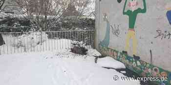 Tier in Lohmar in Not: Feuerwehr befreit Reh aus Zaun - Express.de