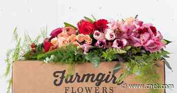 Best flower delivery services for Valentine's Day     - CNET
