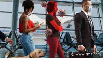 COVID-Sniffing Dogs Could Screen Passengers in U.S. Airports