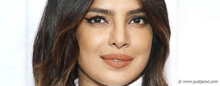 Priyanka Chopra Answers Which Jonas Brothers Is Her Favorite to Follow on TikTok