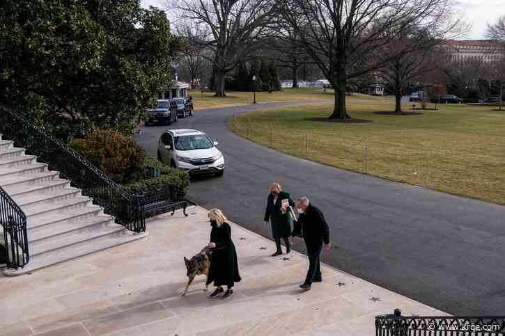 The first dogs are home! Champ and Major arrive at the White House