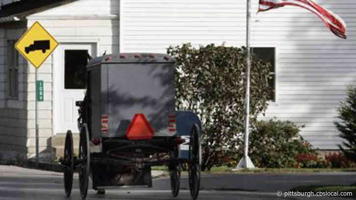 16-Year-Old Boy Killed When Minivan And Horse-Drawn Buggy Collide In Ohio