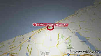 Ohio man dies after tree he cut down falls on in him in Chautauqua Co.