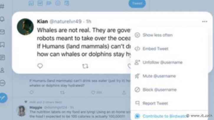 'Hall monitors' for social media? Twitter launches new 'Birdwatch' program, enlisting users to help hunt down 'misleading' speech