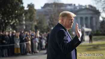 Trump establishes 'Office of the Former President' in Florida