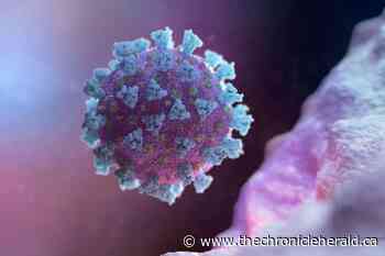 Britain to help other countries track down coronavirus variants - TheChronicleHerald.ca