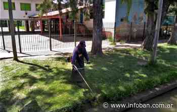 Tigre realizó trabajos de limpieza integral en instituciones educativas del Delta - InfoBan