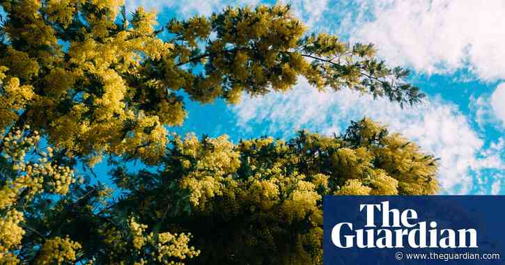 It's blooming good to see signs of spring | Brief letters