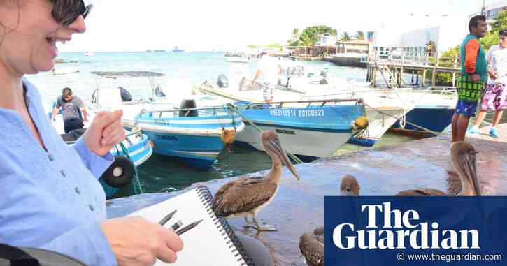 I’m painting the amazing Galápagos wildlife – from my sitting room