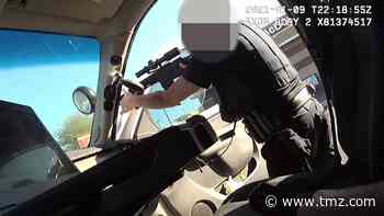 Police Body Cam Video Shows Dramatic Takedown of Man Holding Baby Hostage