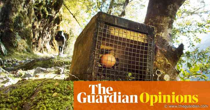 Māori knowledge can help New Zealand get rid of predators but it mustn't be whitewashed | Tame Malcolm