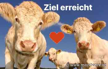 Schluss mit der Massentierhaltung?: Volksbegehren Tierschutz- Ziel erreicht - meinbezirk.at