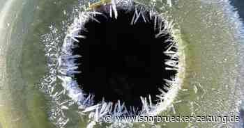 Leserfotos : Noch ein letzter Blick zurück zum Schnee im Landkreis Neunkirchen - Saarbrücker Zeitung