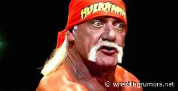 Hulk Hogan's Surprising Choice For WWE's Next Breakout Star - WrestlingRumors.net - Wrestling Rumors