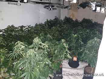 Police raid uncovers half-a-million pound cannabis farm after public tip-off