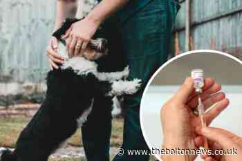 You may need to vaccinate your pets against Covid-19