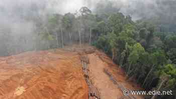 Report: 2 in 3 banks have no commitments to stop financing deforestation