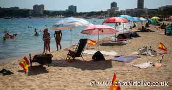 Too early to say if summer 2021 holidays will go ahead, vaccine minister warns