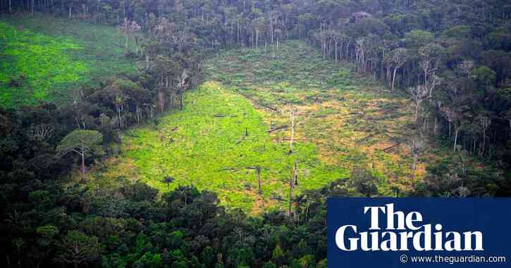 Fury as long-awaited UK environment bill is delayed for the third time