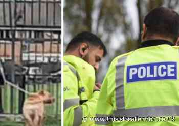 Police appeal after dog attack in Mitcham park