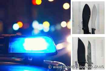 Machete and knife seized from teenagers after Croydon chase