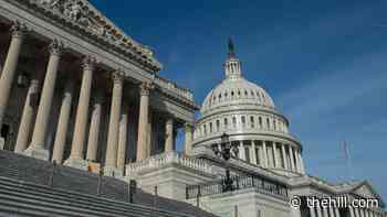 Just 11 percent of Americans satisfied with direction of US: Gallup