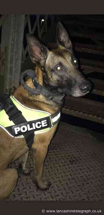 Police dog helps capture 3 suspects in Blackburn