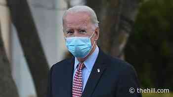 Biden to name nurse as acting surgeon general: report