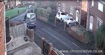 Delivery driver thrown from bonnet of his own van after trying to stop thieves