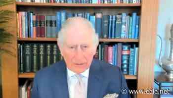 Prince Charles: Sustainable business leadership alone won't combat climate change