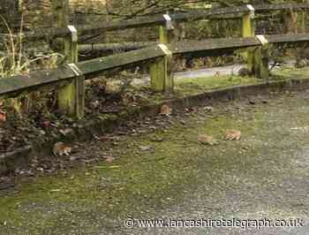 Rats on Padiham store car park spark infestation fear