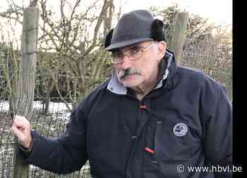 Dieven weg met koffer vol werktuigen en voorraad etenswaren in Borgloon - Het Belang van Limburg