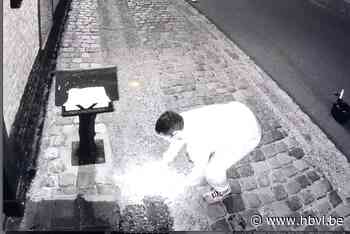 Twee verdachten gearresteerd voor brandstichting aan hoeve i... (Borgloon) - Het Belang van Limburg Mobile - Het Belang van Limburg